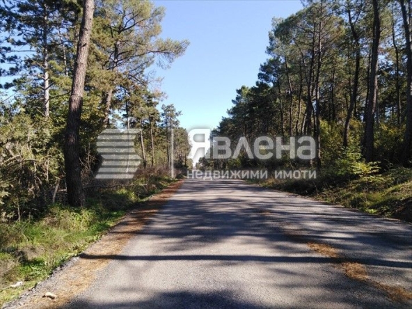 Земеделски имот в Царево -  кв.м за 30 €/дка - Снимка #1