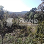 Парцел в с. Изгрев, Област Бургас - 1081 кв.м за 44 €/кв.м - Снимка #1