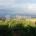 Парцел в с. Садово, Област Варна - 1200 кв.м за 9 €/кв.м - Снимка #1