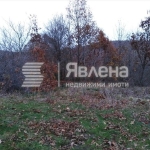 Парцел в с. Изгрев, Област Бургас - 462 кв.м за 64 €/кв.м - Снимка #1