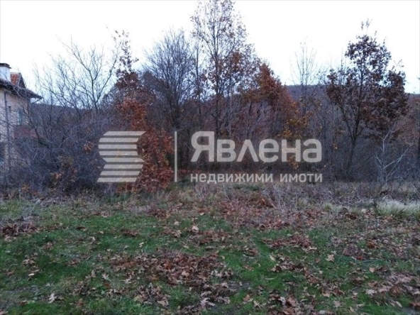 Парцел в с. Изгрев, Област Бургас - 462 кв.м за 64 €/кв.м - Снимка #1