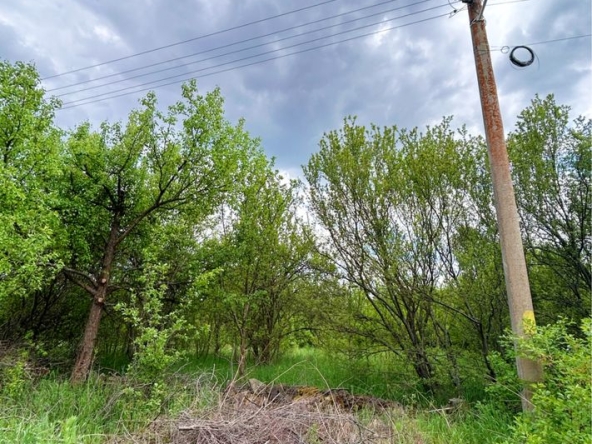 Парцел в с. Бобораци, Област Перник - 839 кв.м за 24 €/кв.м - Снимка #1