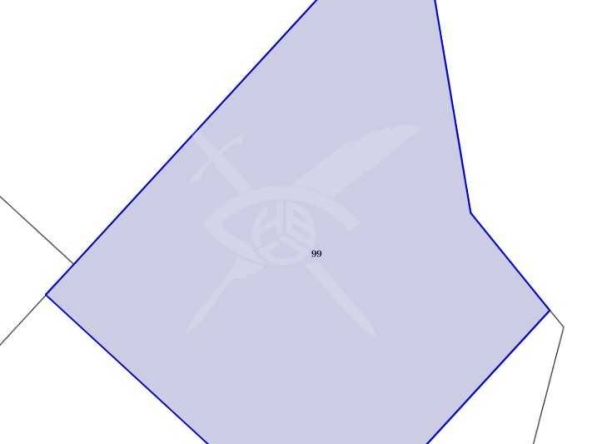 Парцел в с. Емона, Област Бургас - 5050 кв.м за 12 €/кв.м - Снимка #1