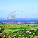 Парцел в с. Ляхово, Област Добрич - 7034 кв.м за 6 €/кв.м - Снимка #1