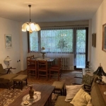 Дава се под наем Тристаен апартамент в София, Лозенец - 100 кв.м за 500 € - Снимка #1