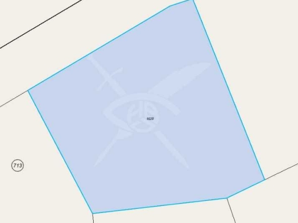 Парцел в с. Черно море, Област Бургас - 999 кв.м за 29 €/кв.м - Снимка #1