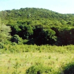 Земеделски имот в Аксаково -  кв.м за 2556 €/дка - Снимка #1