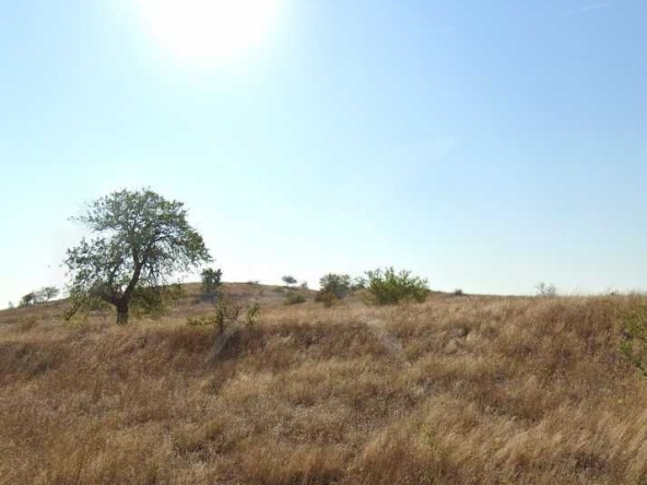 Парцел в с. Тънково, Област Бургас - 3121 кв.м за 16 €/кв.м - Снимка #1