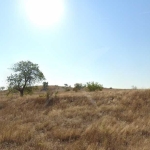 Парцел в Малко Търново - 522 кв.м за 13 €/кв.м - Снимка #1