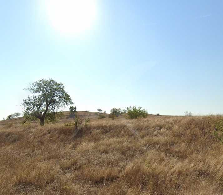 Парцел в с. Равадиново, Област Бургас - 6006 кв.м за 80 €/кв.м - Снимка #1