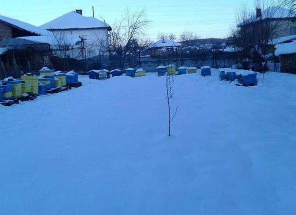 Парцел в с. Боровци, Област Монтана - 790 кв.м за 16 €/кв.м - Снимка #1