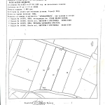 Парцел в с. Брестовица, Област Пловдив - 1800 кв.м за 14 €/кв.м - Снимка #1