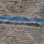 Парцел в с. Мътеница, Област Пловдив - 871 кв.м за 11 €/кв.м - Снимка #1