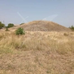 Парцел в Перущица - 1002 кв.м за 48 €/кв.м - Снимка #1