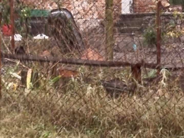 Къща в с. Равна гора, Област Бургас - 71 кв.м за 888 €/кв.м - Снимка #1