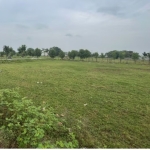 Парцел в с. Белица, Област Хасково - 1000 кв.м за 13 €/кв.м - Снимка #1