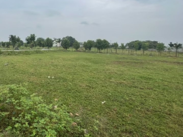 Парцел в с. Белица, Област Хасково - 1000 кв.м за 13 €/кв.м - Снимка #1