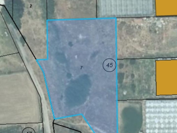 Парцел в с. Дамяница, Област Благоевград - 2711 кв.м за 10 €/кв.м - Снимка #1