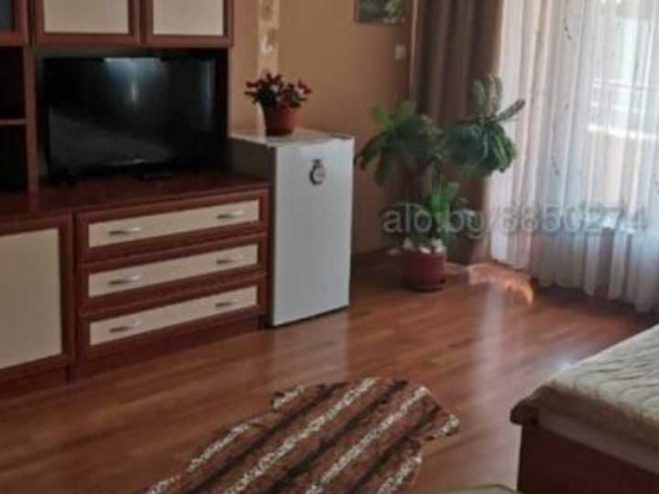 Дава се под наем Едностаен апартамент в Смолян, Невястата - 42 кв.м за 229.5 € - Снимка #1