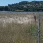 Земеделски имот в с. Покровник, Област Благоевград -  кв.м за 21667 €/дка - Снимка #1