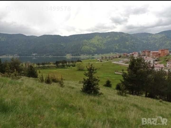 Земеделски имот в Сърница -  кв.м за 20400 €/дка - Снимка #1