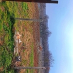 Парцел в Варна, Владислав Варненчик - 1530 кв.м за 65 €/кв.м - Снимка #1