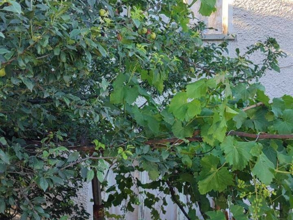 Къща в с. Тополово, Област Пловдив - 150 кв.м за 341 €/кв.м - Снимка #1