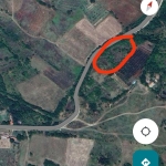 Парцел в с. Беляковец, Област Велико Търново - 27450 кв.м за 1 €/кв.м - Снимка #1