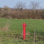 Парцел в с. Граничар, Област Добрич - 1540 кв.м за 13 €/кв.м - Снимка #1