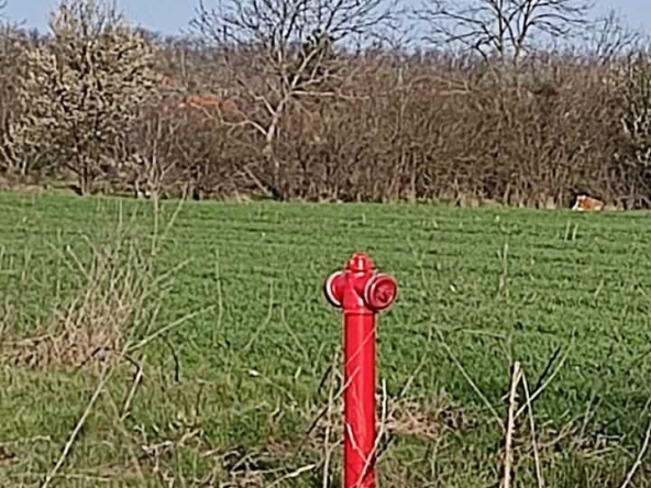 Парцел в с. Граничар, Област Добрич - 1540 кв.м за 13 €/кв.м - Снимка #1