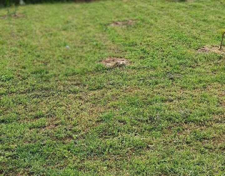 Парцел в с. Преспа, Област Добрич - 3400 кв.м за 5 €/кв.м - Снимка #1