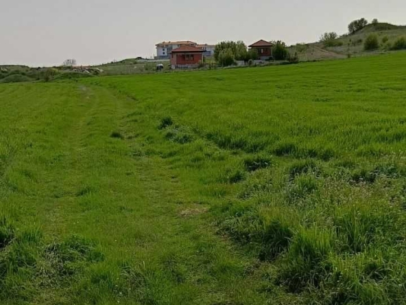 Парцел в Плевен, Дружба 4 - 3000 кв.м за 5 €/кв.м - Снимка #1