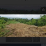 Парцел в Айтос - 2000 кв.м за 10 €/кв.м - Снимка #1