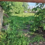 Парцел в с. Бръшлен, Област Русе - 1495 кв.м за 6 €/кв.м - Снимка #1