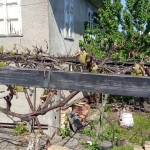 Къща в Омуртаг - 150 кв.м за 357 €/кв.м - Снимка #1