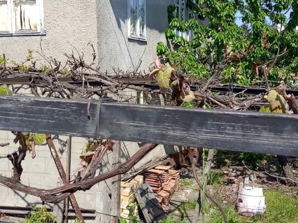 Къща в Омуртаг - 150 кв.м за 357 €/кв.м - Снимка #1