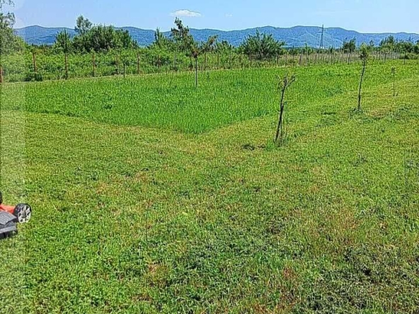 Парцел в Ботевград - 1000 кв.м за 20 €/кв.м - Снимка #1