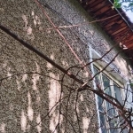 Къща в Радомир - 160 кв.м за 538 €/кв.м - Снимка #1