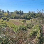 Парцел в Разград, Промишлена зона - Запад - 1206 кв.м за 13 €/кв.м - Снимка #1