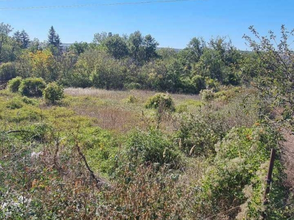 Парцел в Разград, Промишлена зона - Запад - 1206 кв.м за 13 €/кв.м - Снимка #1