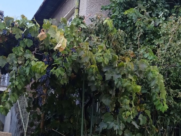 Къща в Перник, Варош - 90 кв.м за 1445 €/кв.м - Снимка #1