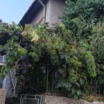 Къща в Перник, Варош - 90 кв.м за 736 €/кв.м - Снимка #1