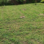 Парцел в с. Преспа, Област Добрич - 3400 кв.м за 3 €/кв.м - Снимка #1