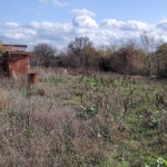 Парцел в с. Сираково, Област Хасково - 1000 кв.м за 18 €/кв.м - Снимка #1