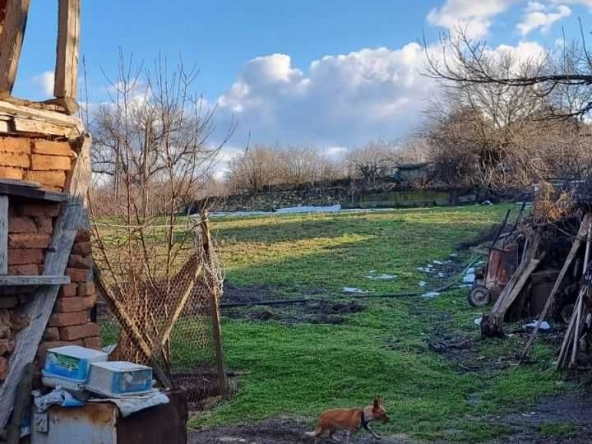 Парцел в с. Топчии, Област Разград - 1430 кв.м за 3 €/кв.м - Снимка #1