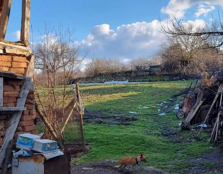 Парцел в с. Топчии, Област Разград - 1430 кв.м за 3 €/кв.м - Снимка #1