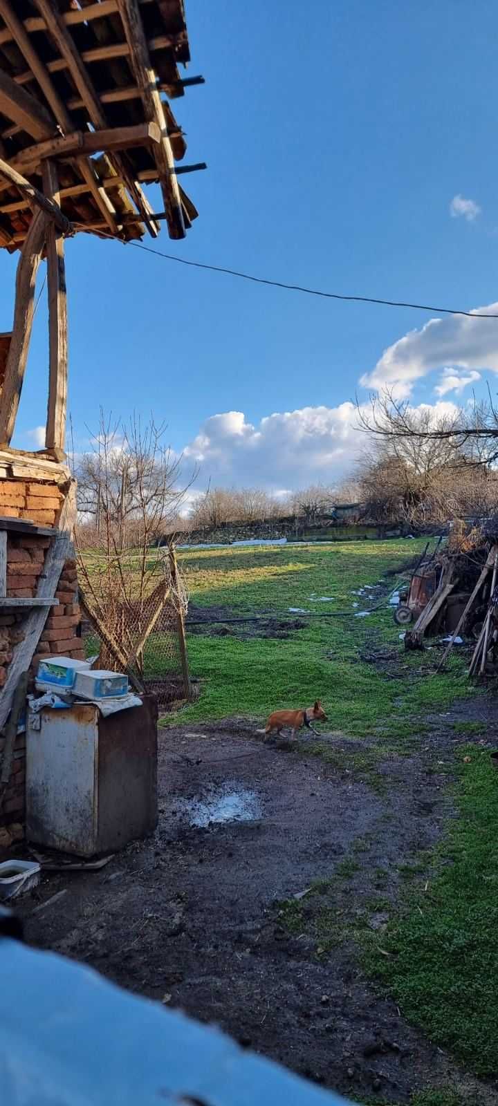 Парцел в с. Топчии, Област Разград - 1430 кв.м за 3 €/кв.м - Снимка #1