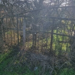 Парцел в Разград, Промишлена зона - Запад - 1235 кв.м за 17 €/кв.м - Снимка #1