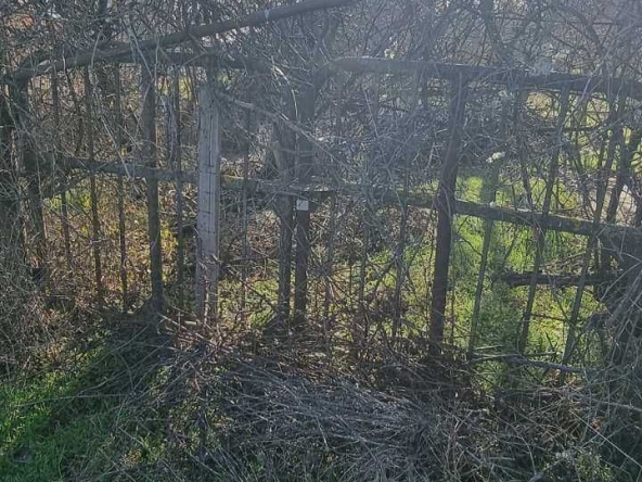 Парцел в Разград, Промишлена зона - Запад - 1235 кв.м за 17 €/кв.м - Снимка #1