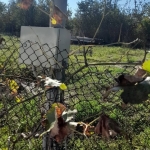 Парцел в Варна, Гранд Мол Варна - 863 кв.м за 38 €/кв.м - Снимка #1